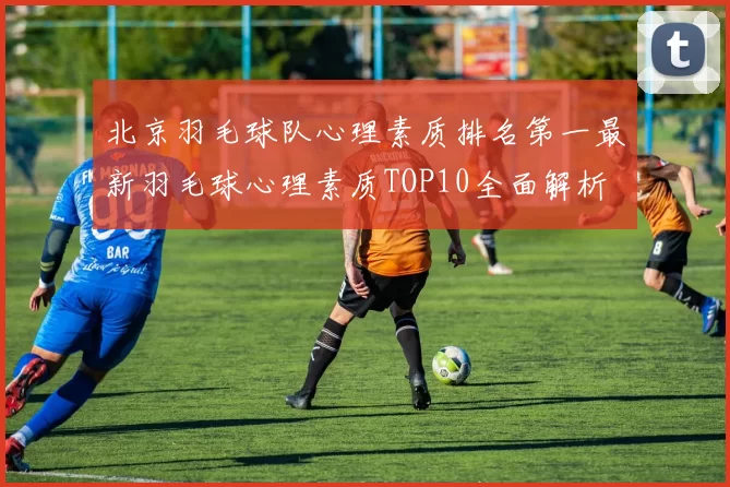 北京羽毛球队心理素质排名第一最新羽毛球心理素质TOP10全面解析