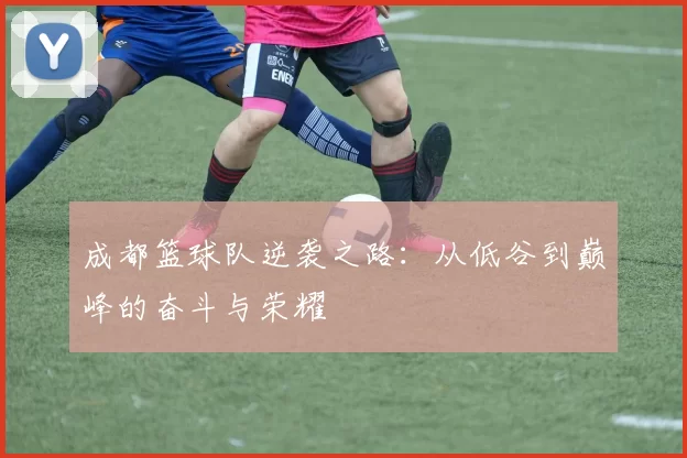 成都篮球队逆袭之路：从低谷到巅峰的奋斗与荣耀