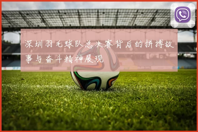 深圳羽毛球队总决赛背后的拼搏故事与奋斗精神展现