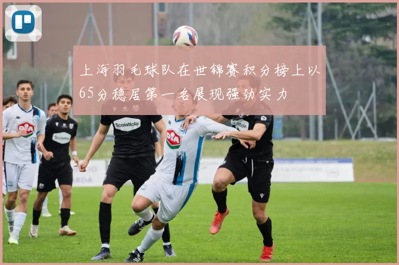 上海羽毛球队在世锦赛积分榜上以65分稳居第一名展现强劲实力