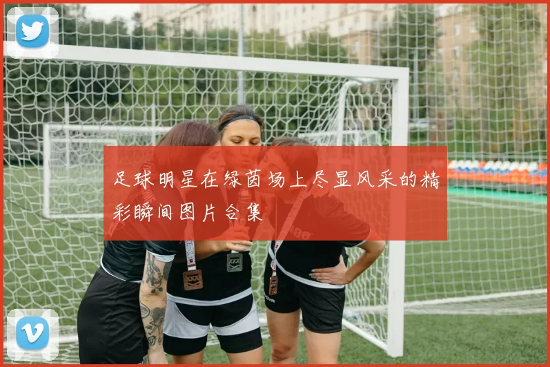 足球明星在绿茵场上尽显风采的精彩瞬间图片合集