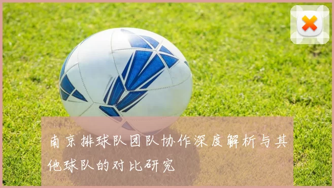 南京排球队团队协作深度解析与其他球队的对比研究