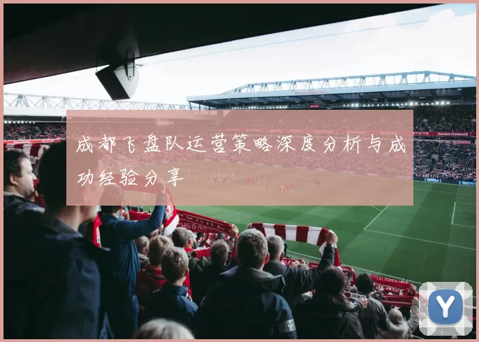 成都飞盘队运营策略深度分析与成功经验分享