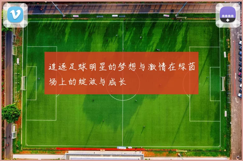 追逐足球明星的梦想与激情在绿茵场上的绽放与成长