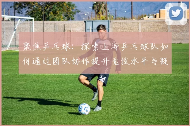 聚焦乒乓球：探索上海乒乓球队如何通过团队协作提升竞技水平与凝聚力