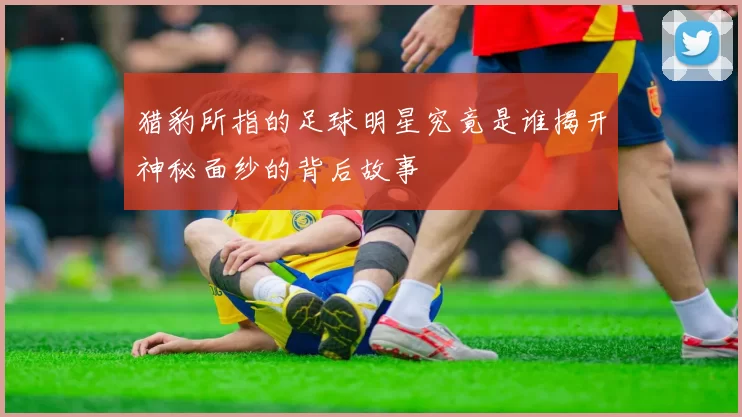 猎豹所指的足球明星究竟是谁揭开神秘面纱的背后故事