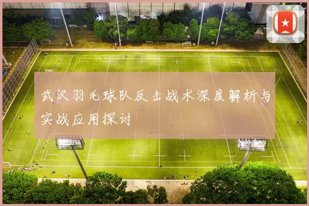武汉羽毛球队反击战术深度解析与实战应用探讨