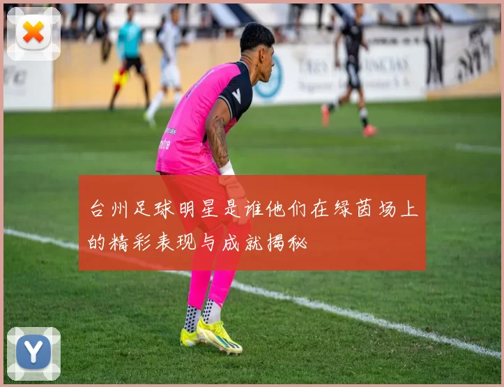 台州足球明星是谁他们在绿茵场上的精彩表现与成就揭秘