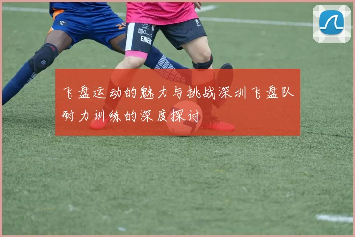 飞盘运动的魅力与挑战深圳飞盘队耐力训练的深度探讨