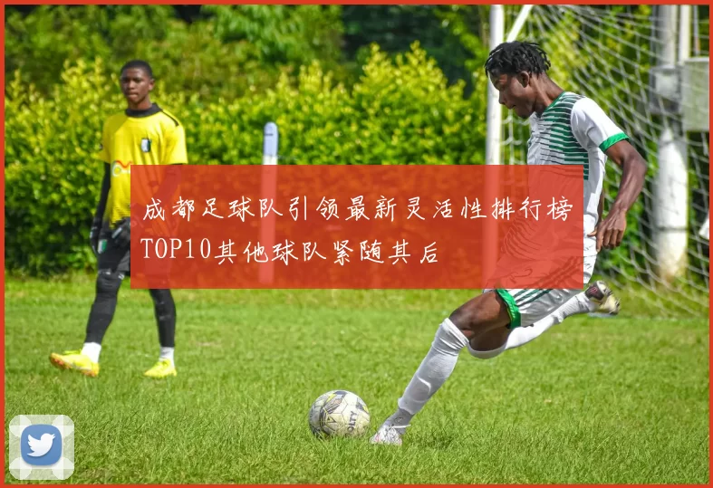 成都足球队引领最新灵活性排行榜TOP10其他球队紧随其后