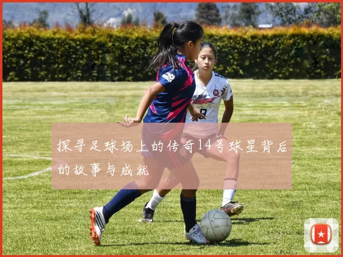 探寻足球场上的传奇14号球星背后的故事与成就