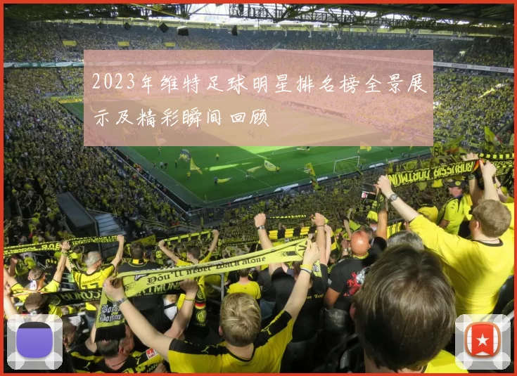 2023年维特足球明星排名榜全景展示及精彩瞬间回顾