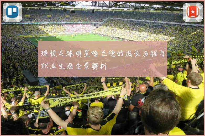 现役足球明星哈兰德的成长历程与职业生涯全景解析
