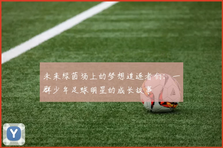 未来绿茵场上的梦想追逐者们：一群少年足球明星的成长故事