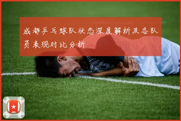 成都乒乓球队状态深度解析及各队员表现对比分析