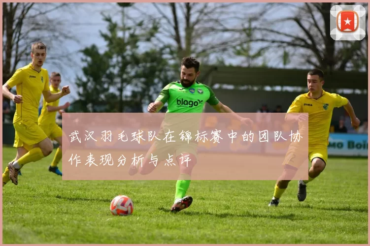 武汉羽毛球队在锦标赛中的团队协作表现分析与点评