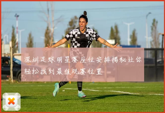 深圳足球明星赛座位安排揭秘让你轻松找到最佳观赛位置