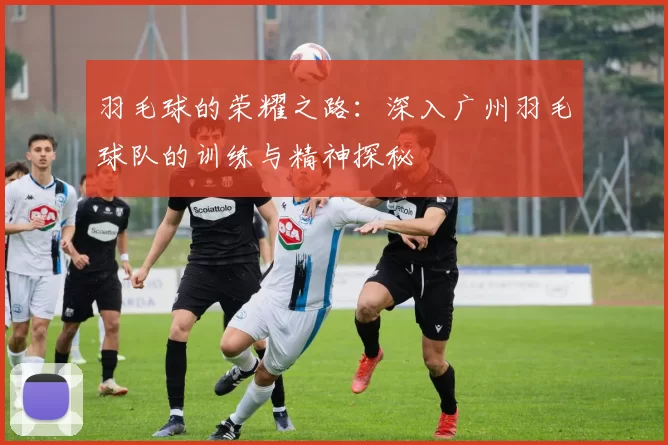 羽毛球的荣耀之路：深入广州羽毛球队的训练与精神探秘